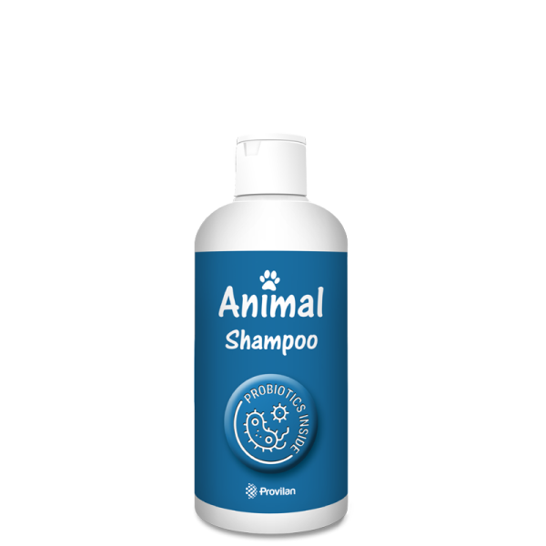 Animal Shampoo