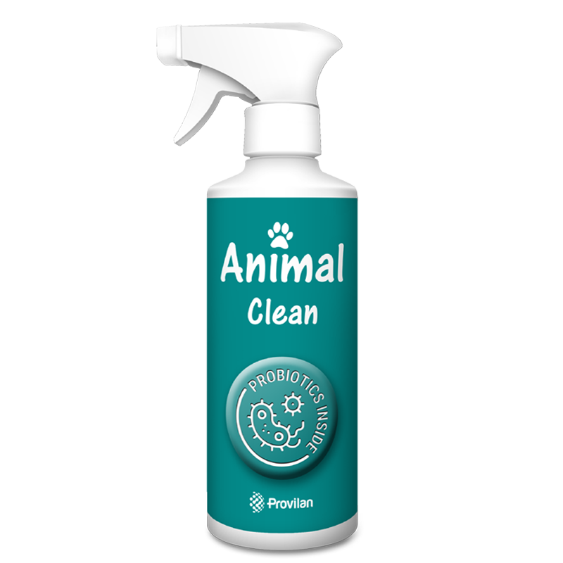 Animal. The microbiological cleaning.