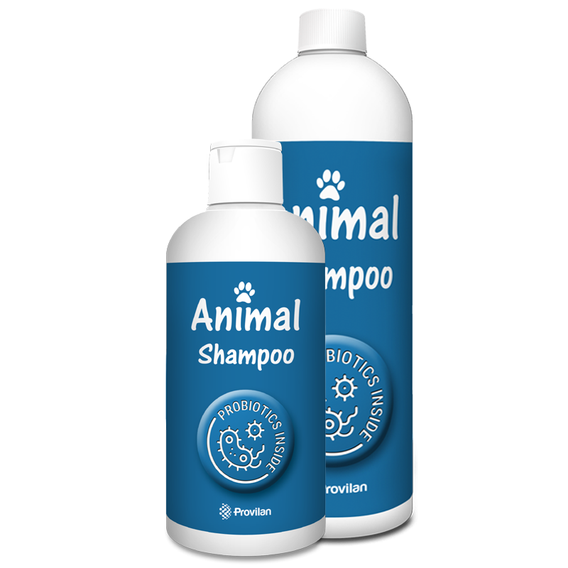 Animal. Microbiological coat care.